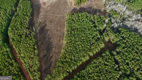 0 Harmony Ln Lot 10a, Milan, GA 31060