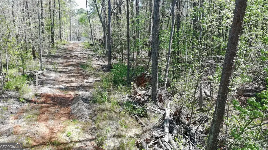 100 Chippewa Trail, Canton, GA 30114 - #3