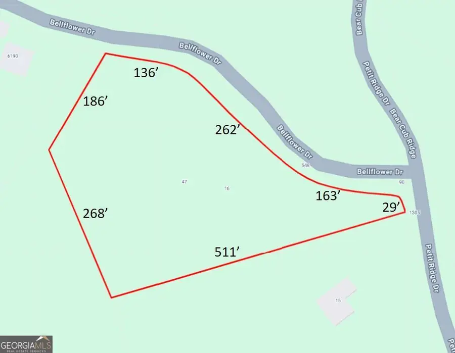 47 Bell Flower Drive, Jasper, GA 30143 - #2