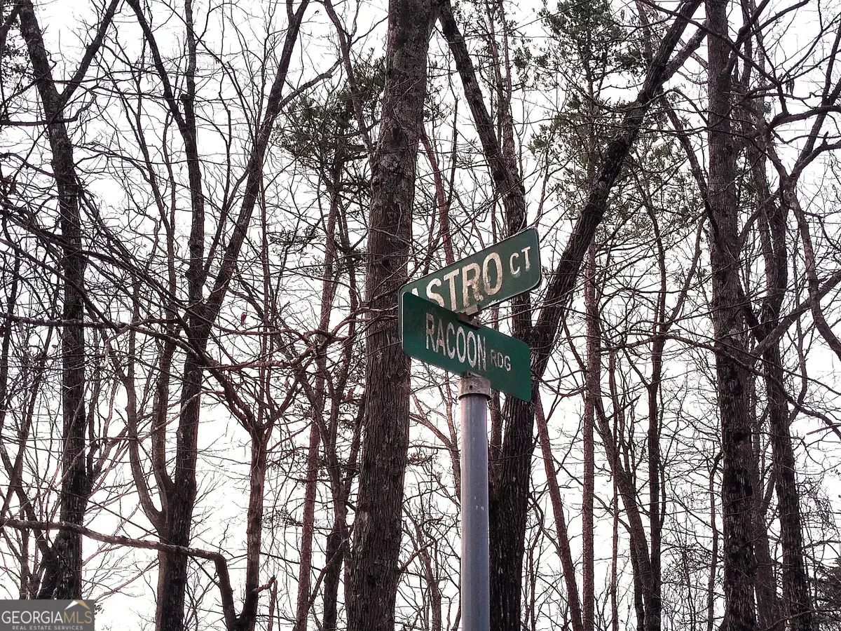 1036 Astro Court Ne, Ranger, GA 30734 - #1