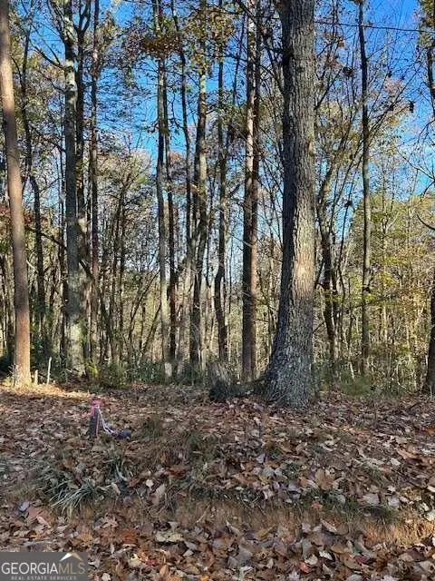 440 Ridge Road, Dawsonville, GA 30534 - #2