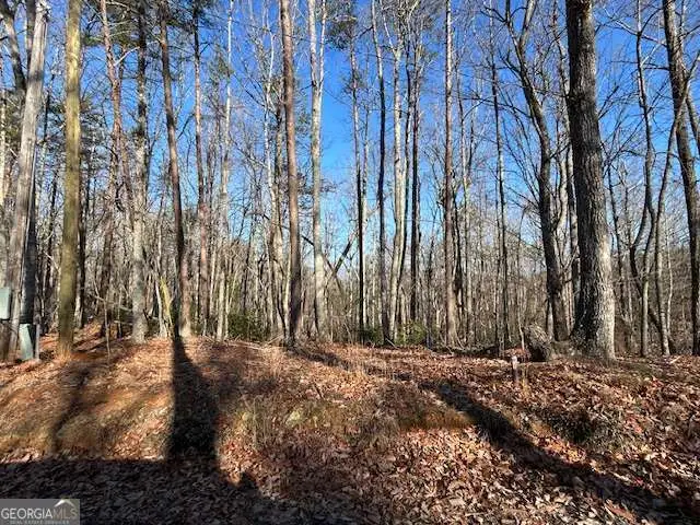 440 Ridge Road, Dawsonville, GA 30534 - #3