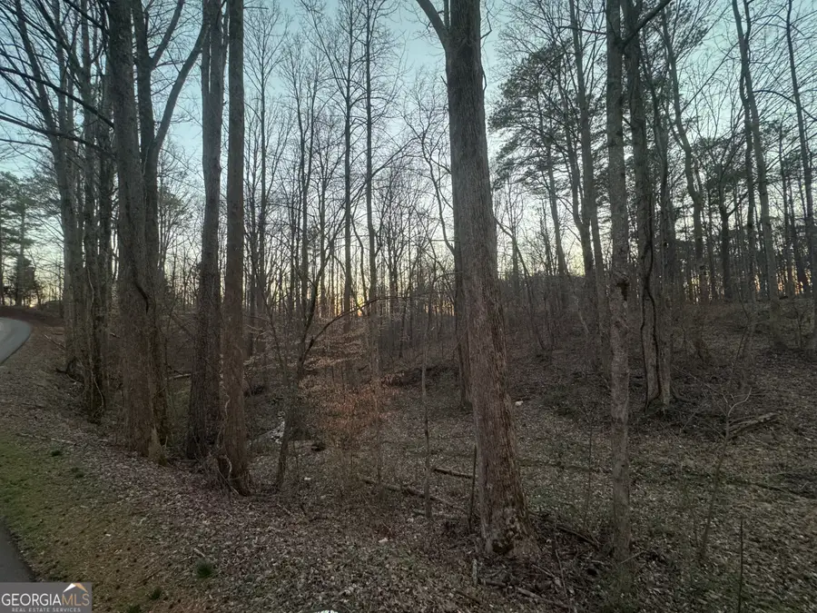 369 Thompson Lane, Jasper, GA 30143 - #3