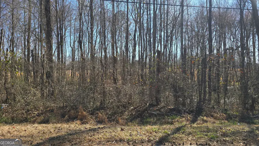 1110 Spring Creek Cir, Griffin, GA 30223 - #2