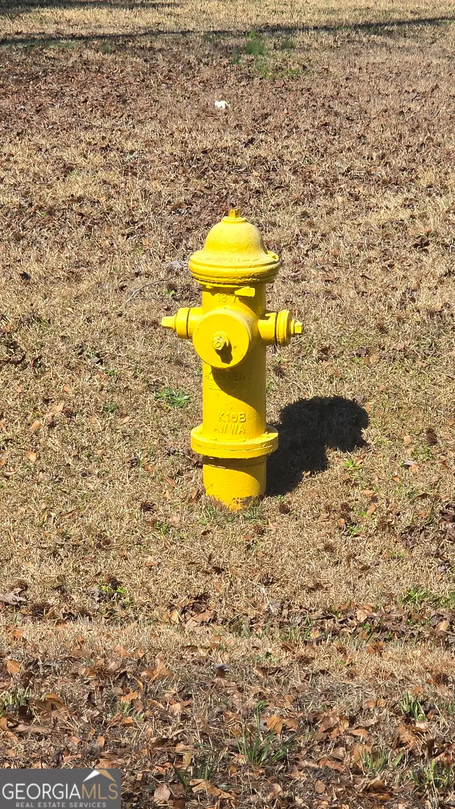 1114 Spring Creek Cir, Griffin, GA 30223 - #3