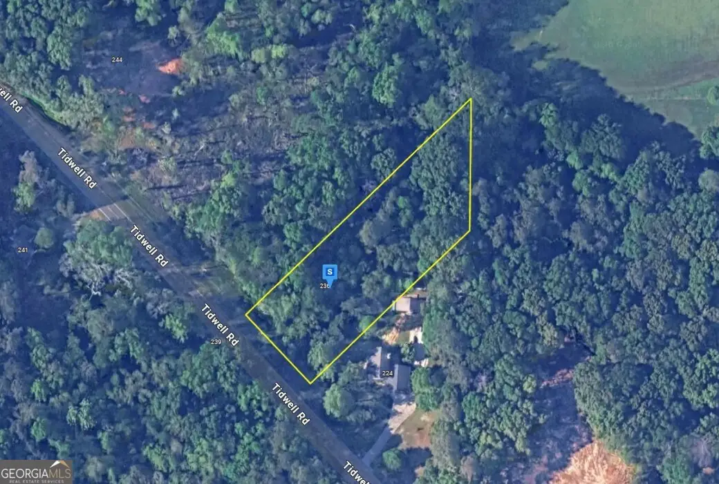 236 Tidwell Road, Bonaire, GA 31005 - #1