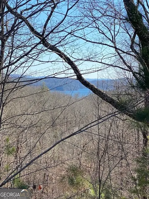 439 Buck Creek Road, Ellijay, GA 30540 - #3