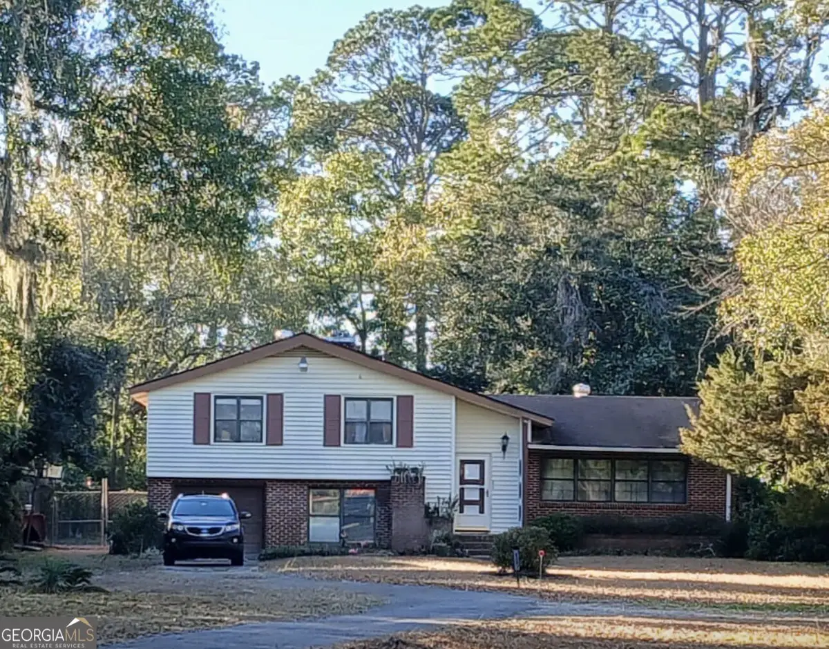 4381 Highway 17, Brunswick, GA 31524 - #1