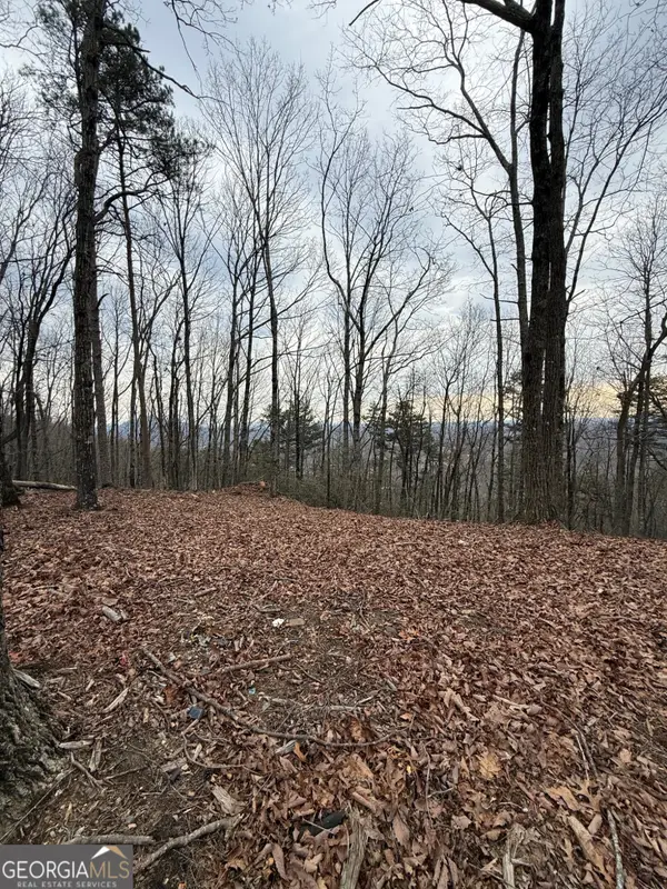 LOT 8 Westmoreland Road, Cleveland, GA 30528