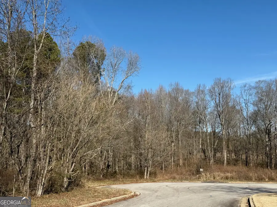 611 Mcdowell Lane, Bethlehem, GA 30620 - #2