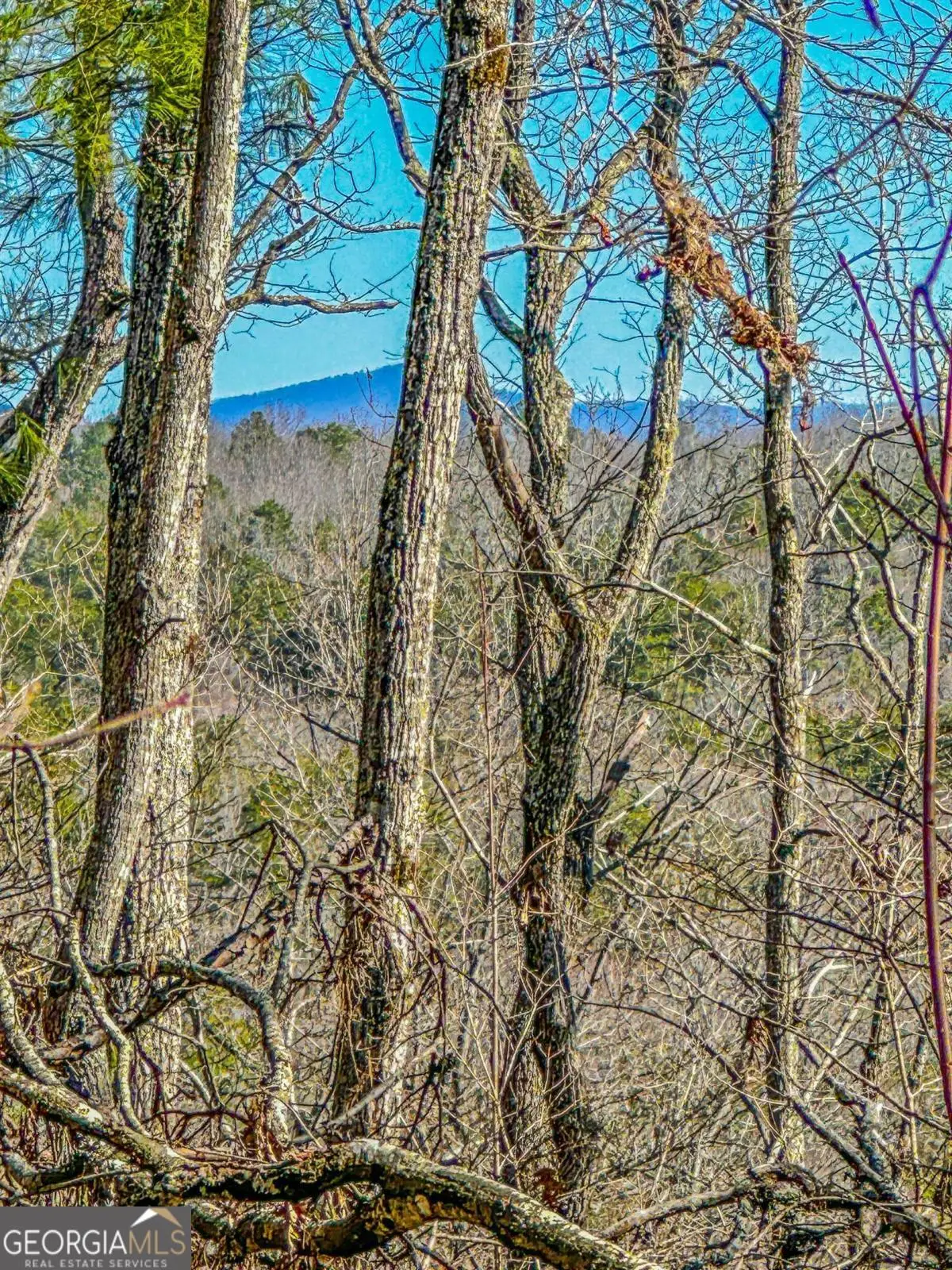 00 River Highlands Road, Dahlonega, GA 30533 - #1