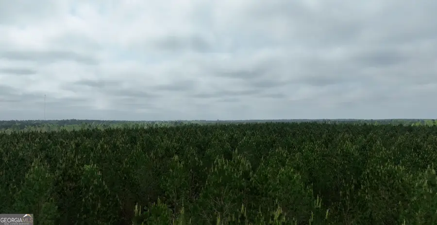 02 Saint Galilee Road, Swainsboro, GA 30401 - #2