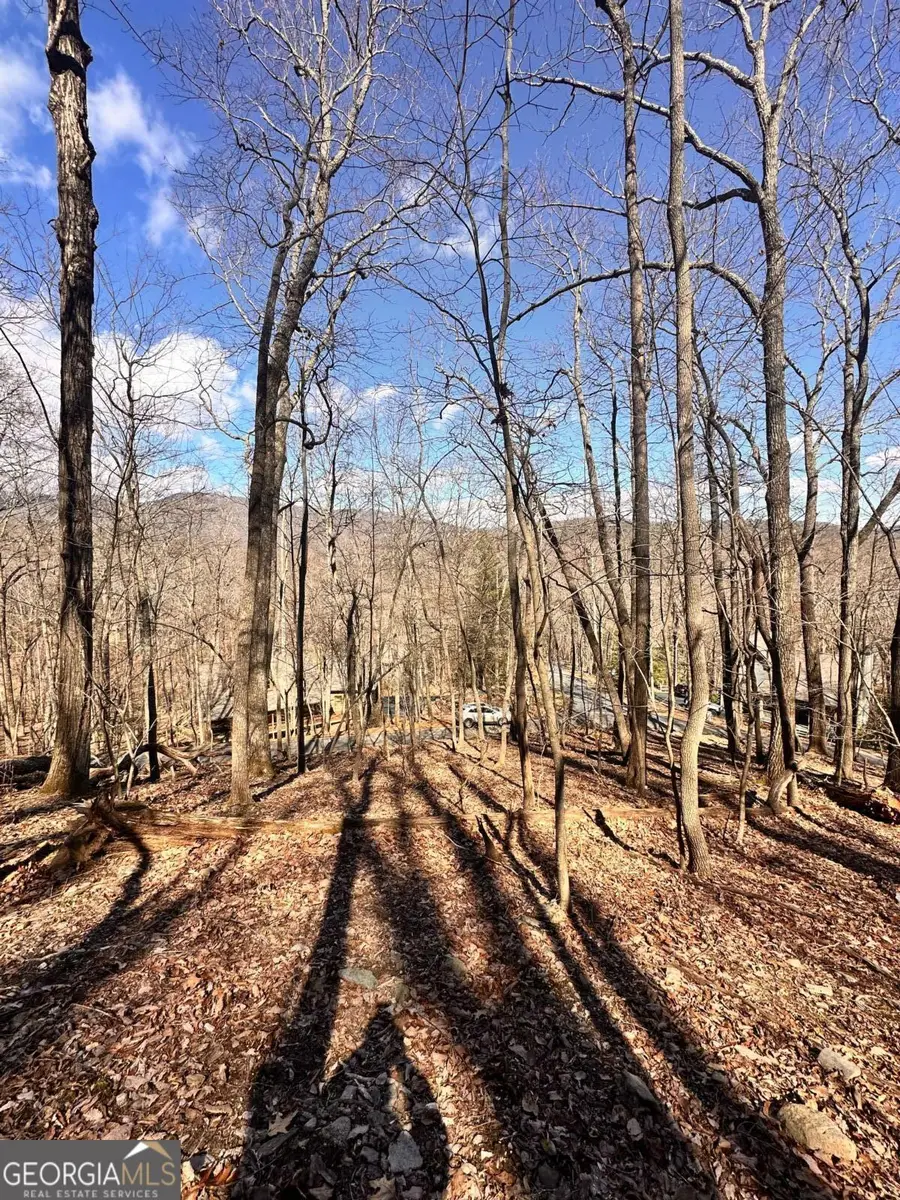 8041 Wilderness Parkway, Jasper, GA 30143 - #3