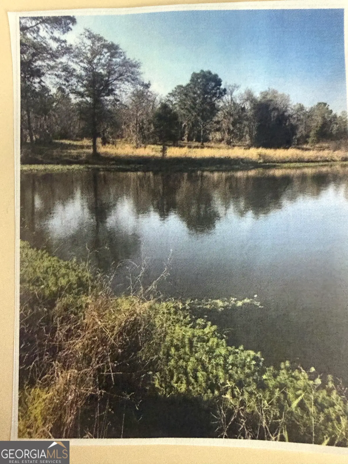 0 Henry-mimbs, Hazlehurst, GA 31539 - #1