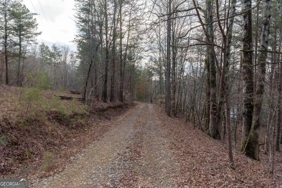 1475 Paradise Park Road, Cornelia, GA 30531 - #2