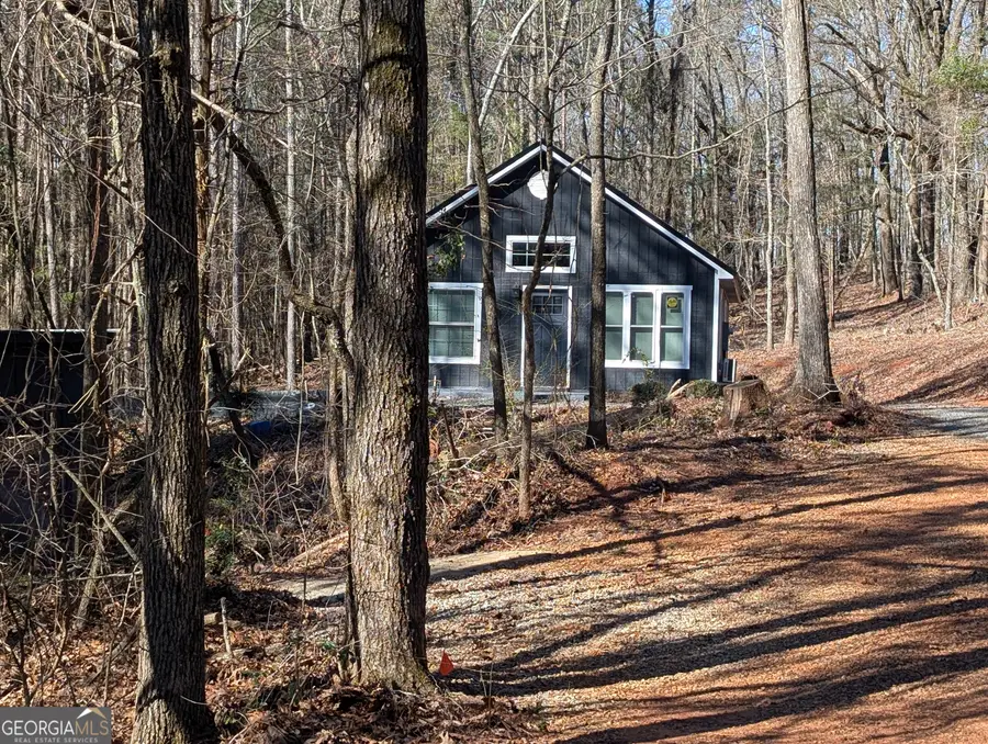 232 Chestnut Grove, Shiloh, GA 31826 - #2