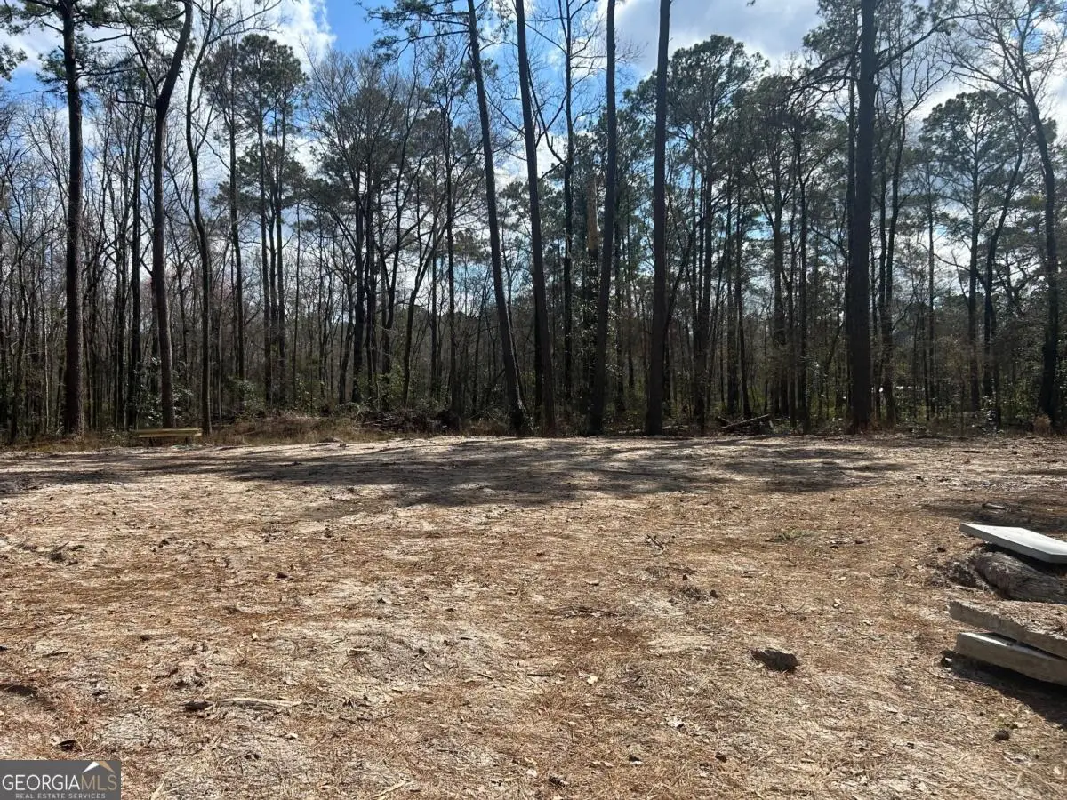 0 Little Mccall Road, Rincon, GA 31326 - #1