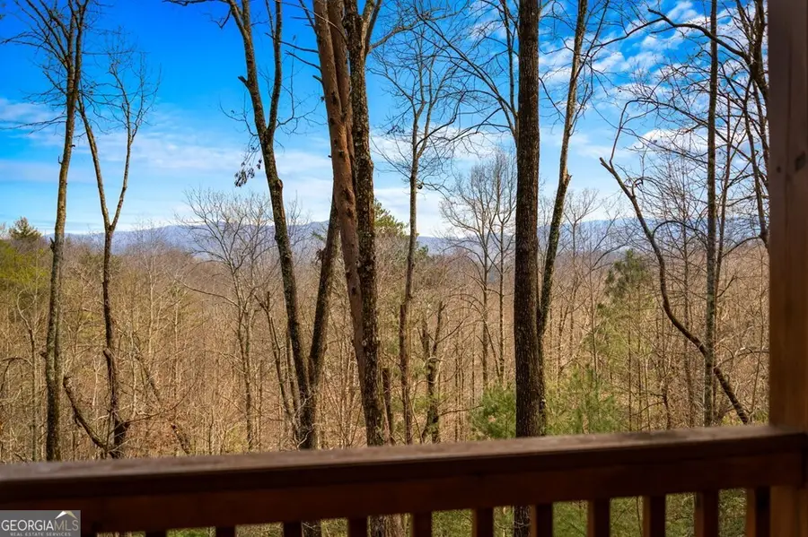 275 N Moreland Drive, Cherry Log, GA 30522 - #2