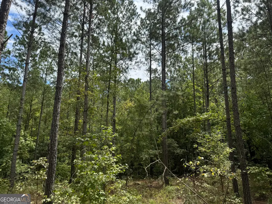 99.58 +/- AC Peace Lane, Franklin, GA 30217 - #2