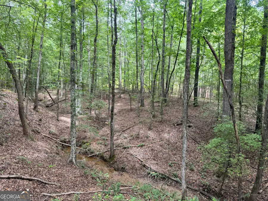 99.58 +/- AC Peace Lane, Franklin, GA 30217 - #3