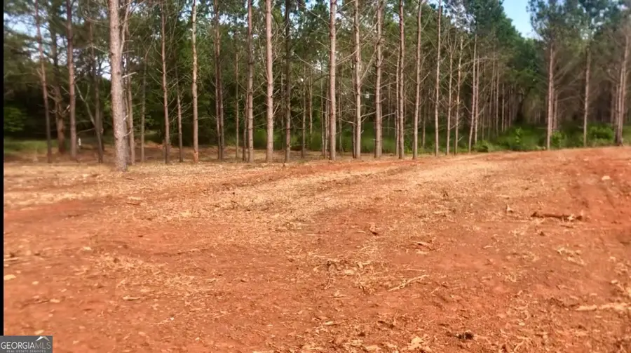 0 Sanford Road, Nicholson, GA 30565 - #2