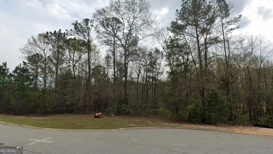 428 Bellerive Trace, Macon, GA 31216 - #2