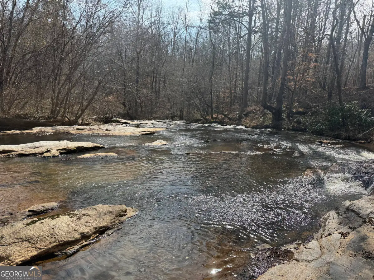 275 Emma Cooper Road, Carlton, GA 30627 - #1