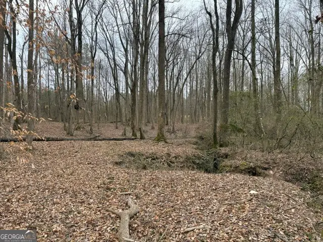 0 Tarpkins Road, Commerce, GA 30530 - #3