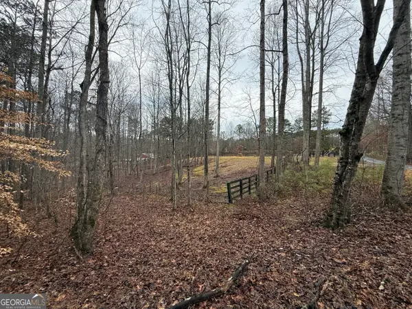 1670 Rock Springs Lane, Woodstock, GA 30188