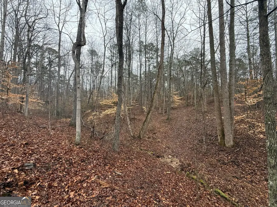 1670 Rock Springs Lane, Woodstock, GA 30188 - #2