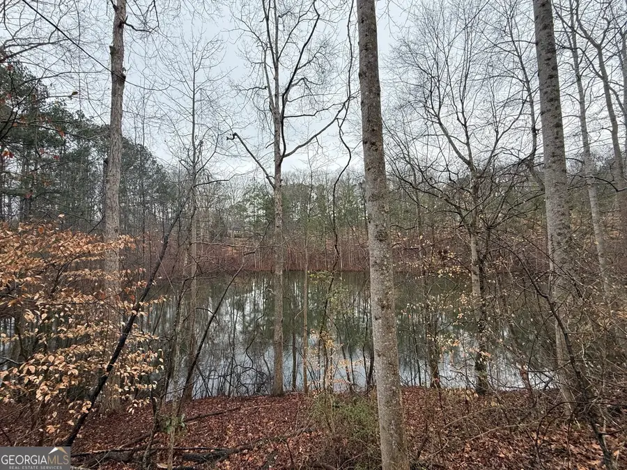 1670 Rock Springs Lane, Woodstock, GA 30188 - #3