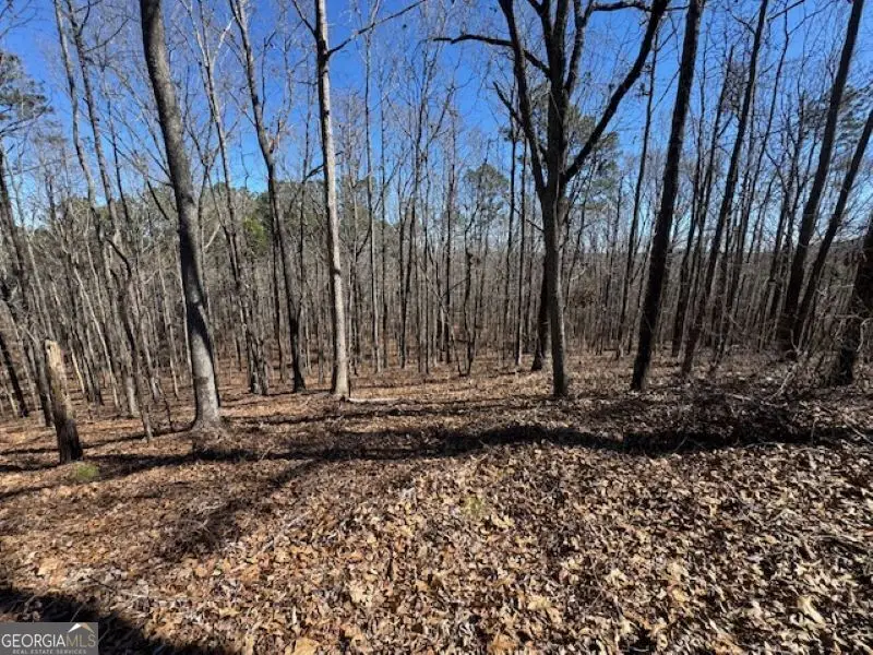 0 Brown Creek Road, Shiloh, GA 31826 - #1