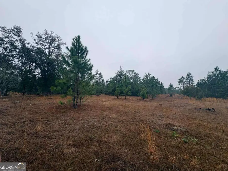 0 Hilltop Road, Baxley, GA 31513 - #3