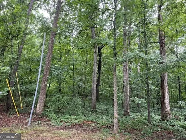 3871 Martin Drive, Ellenwood, GA 30294