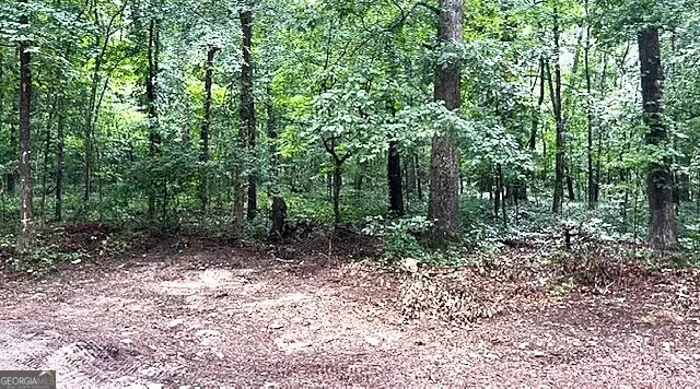 3871 Martin Drive, Ellenwood, GA 30294 - #2