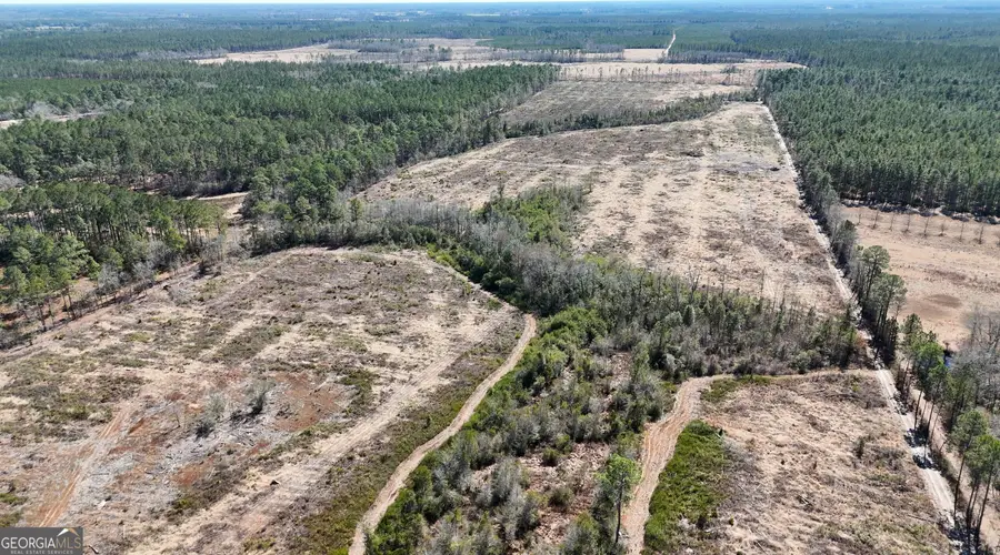 2840 Bay Branch Road, Claxton, GA 30417 - #3