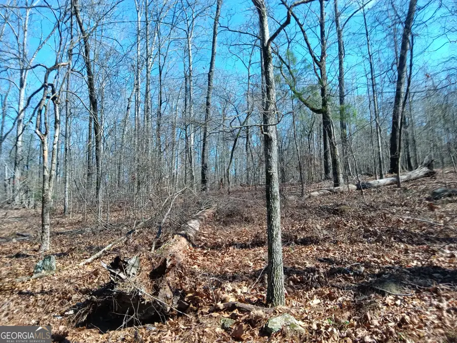 455 Rivers Road, Fayetteville, GA 30214 - #3