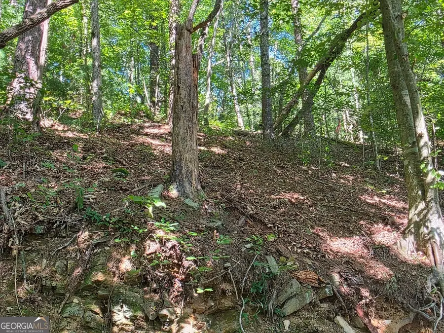 101 Cedar Road, East Ellijay, GA 30540 - #3