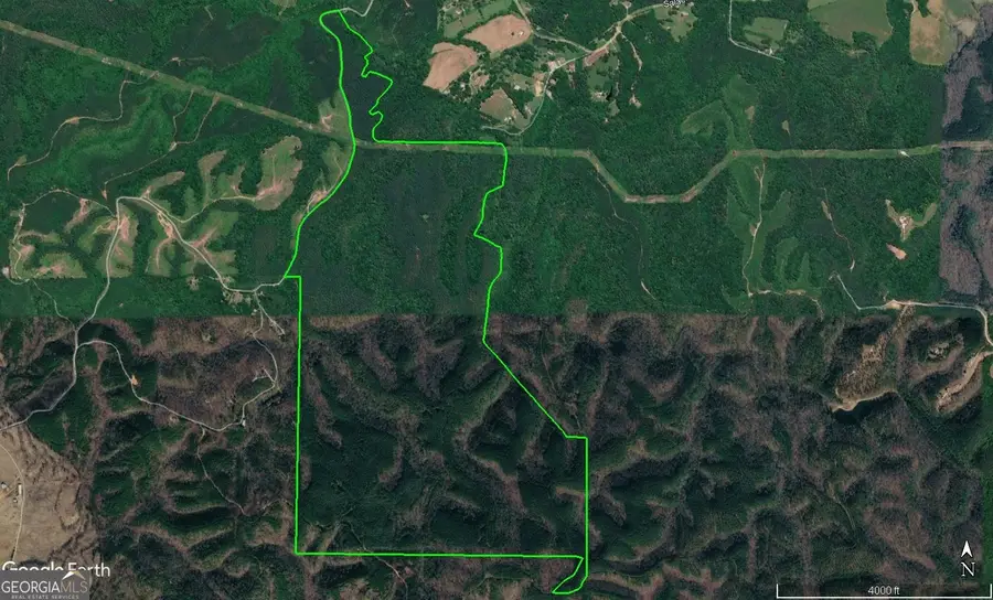 0 Johnson Mountain Road #7402, Rydal, GA 30171 - #2