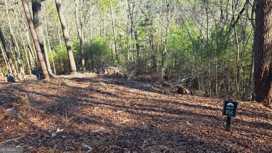 155 Rhondas Way, East Ellijay, GA 30540 - #2