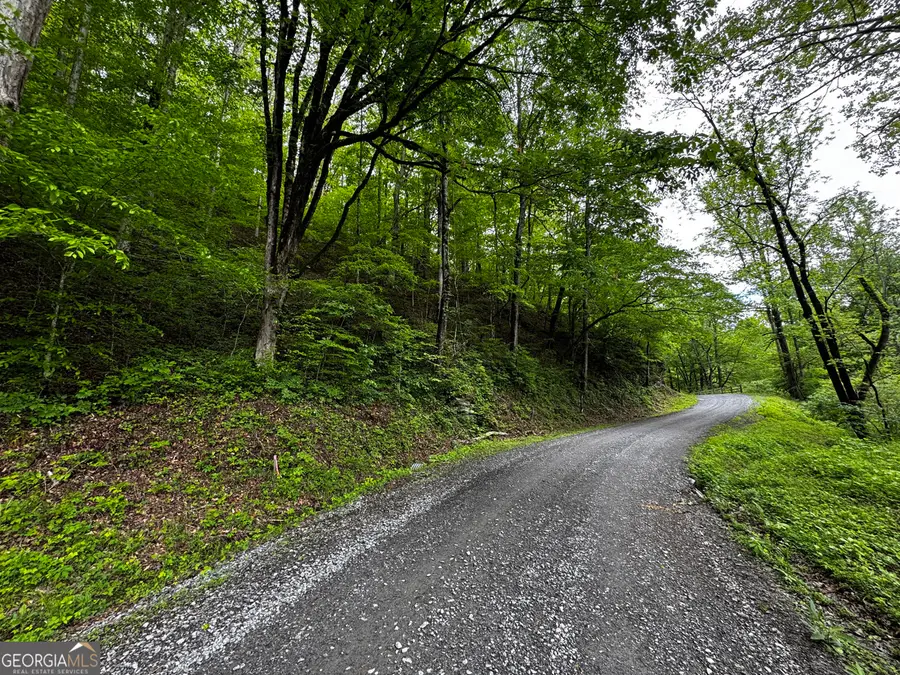 000 Fisher Creek Road, Talking Rock, GA 30175 - #3