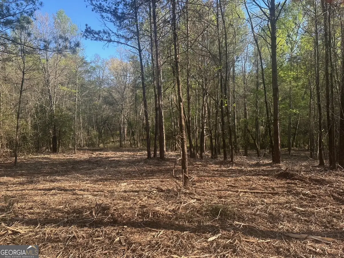 0 Lee Mashburn Road, Dahlonega, GA 30533 - #1