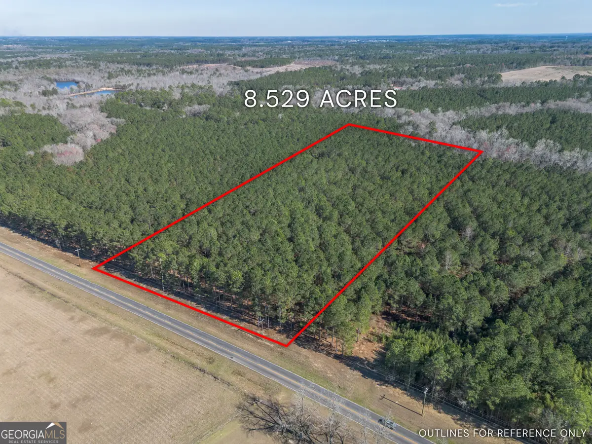 LOT 2 Ben Giddens Road, Eastman, GA 31023 - #1