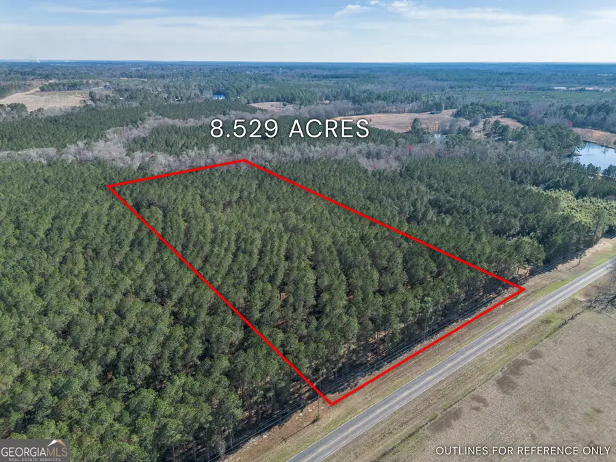 LOT 2 Ben Giddens Road, Eastman, GA 31023 - #2