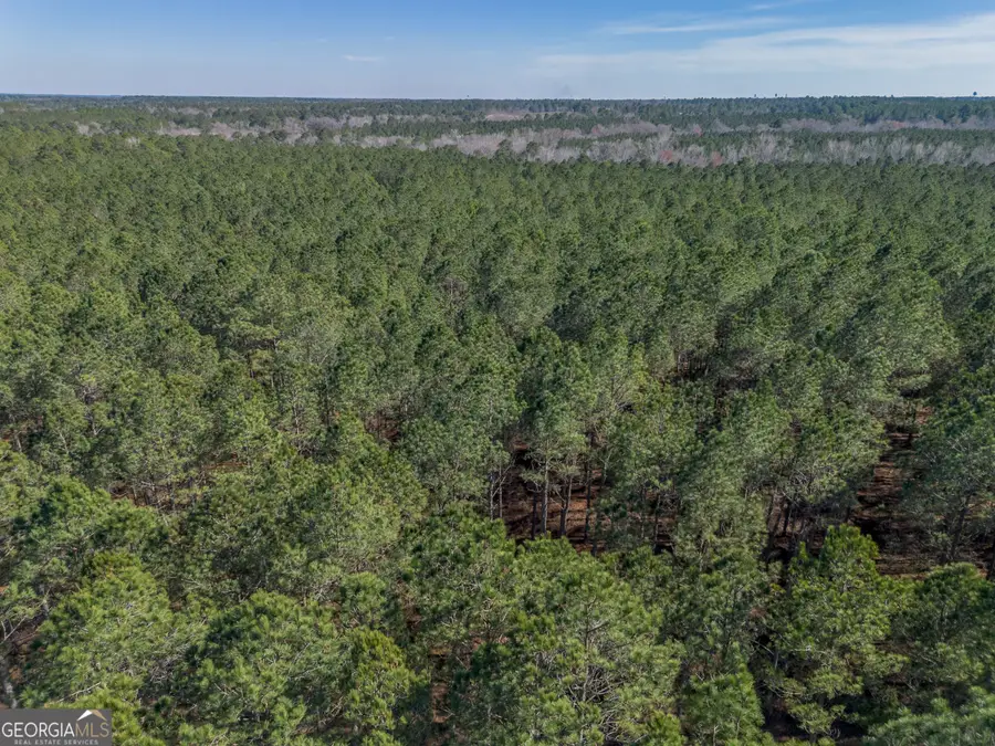 LOT 2 Ben Giddens Road, Eastman, GA 31023 - #3