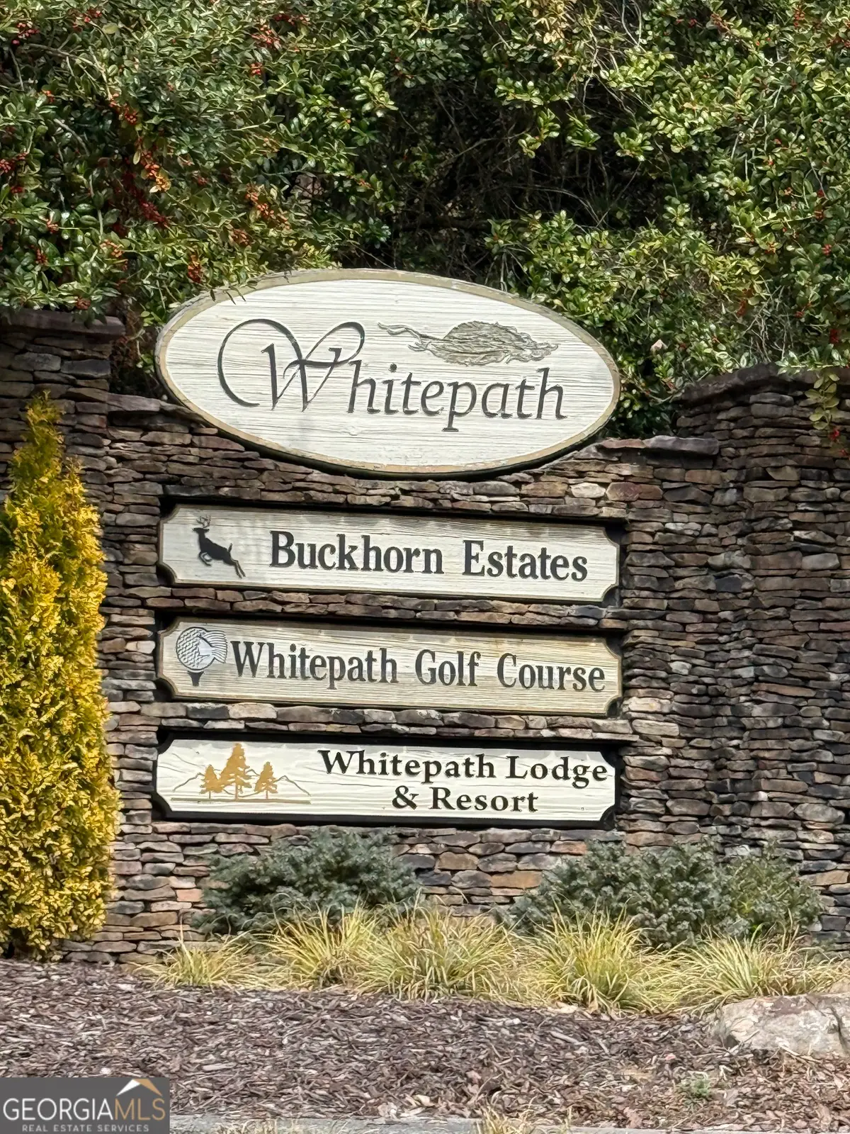 0 Seneca Drive, Ellijay, GA 30540 - #1