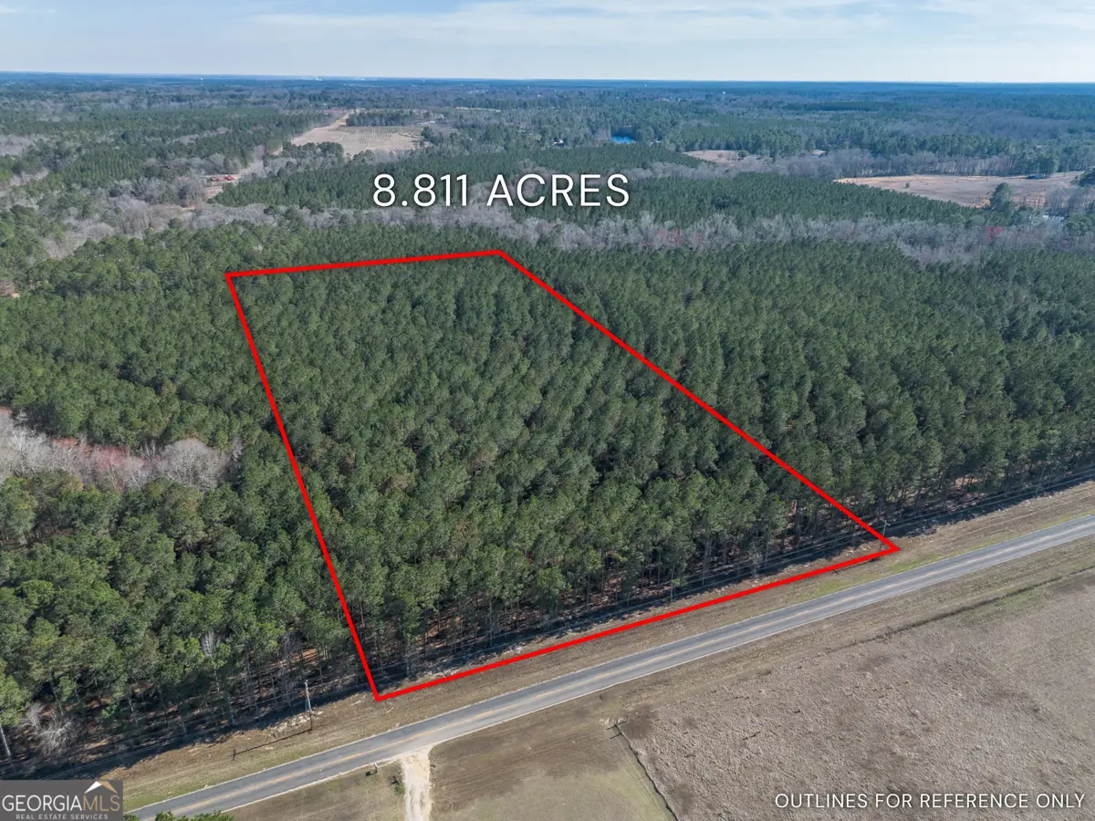 LOT 3 Ben Giddens Road, Eastman, GA 31023 - #1