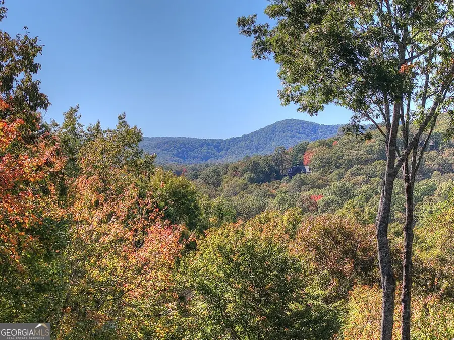 240 Lower Prince Mountain Road, Cherry Log, GA 30522 - #2