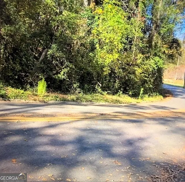 0 Brookwood Circle, Elberton, GA 30635 - #3