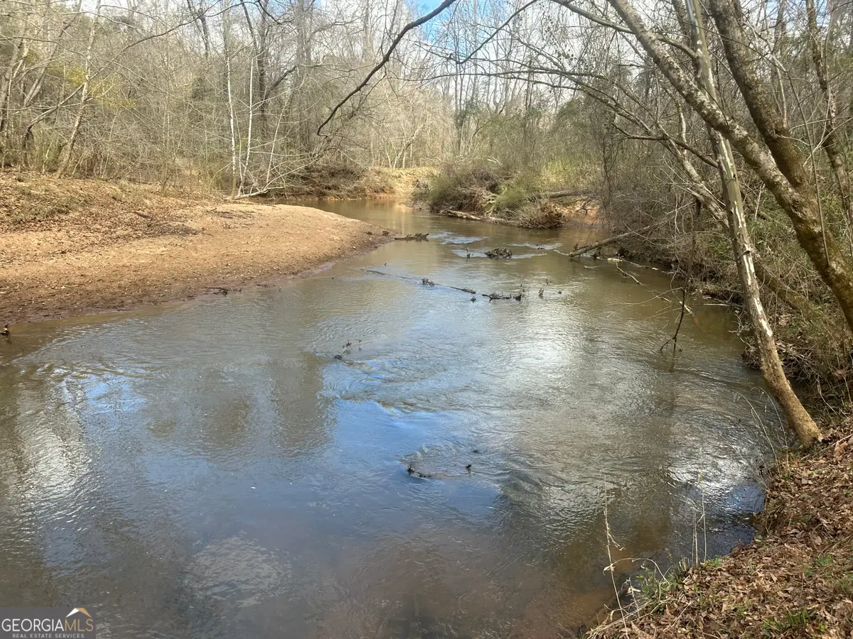 0 Gibson Rd, Talbotton, GA 31827 - #1